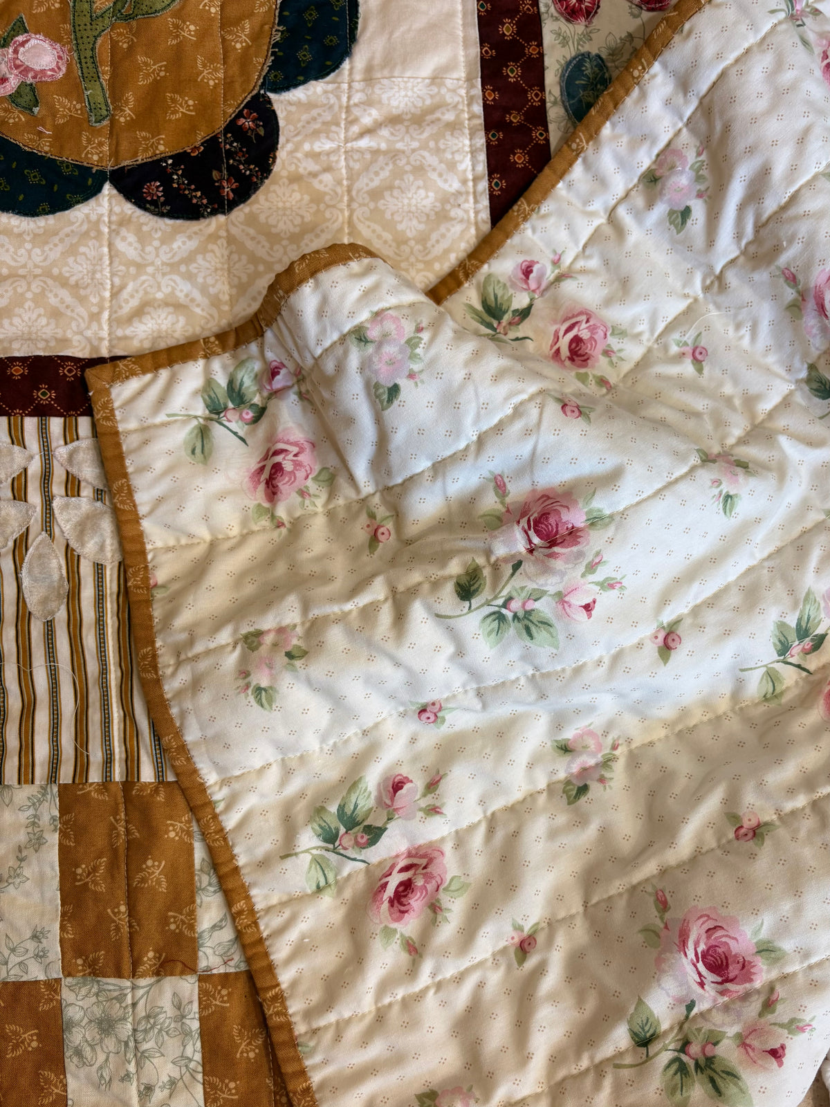 a blanket of roses